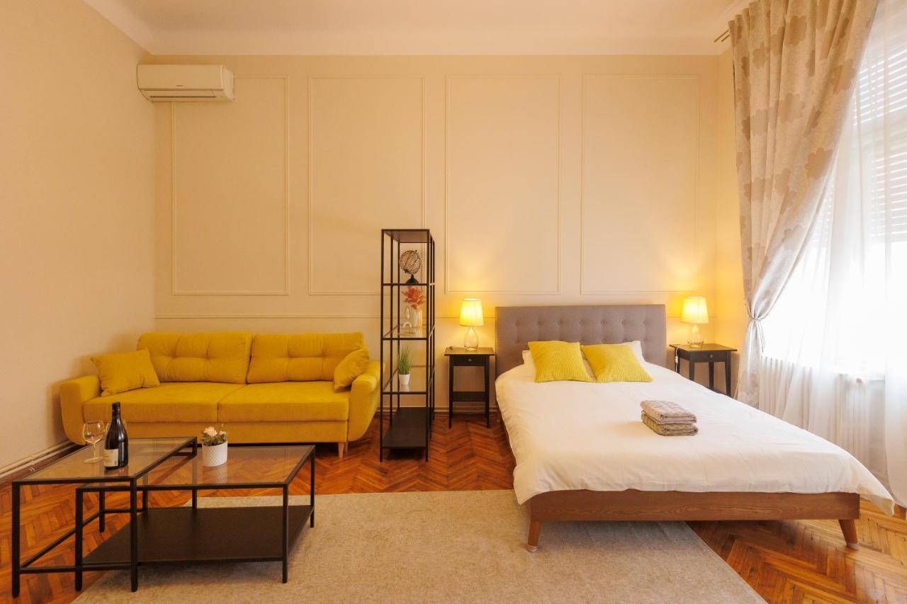 Spacious Flat In Old Town Wi-Fi Temešvár Exteriér fotografie